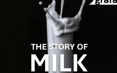 Milk