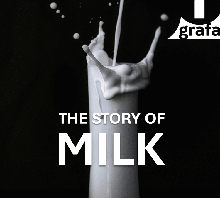Milk